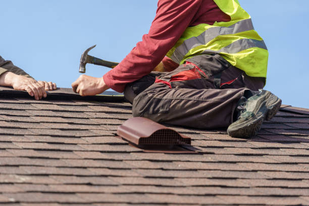 Best Roof Maintenance Services  in Meadow Woods, FL