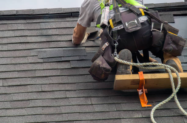 Roof Gutter Cleaning in Meadow Woods, FL